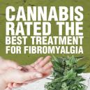 Cannabis Als Beste Behandlung für Fibromyalgie Gewertet