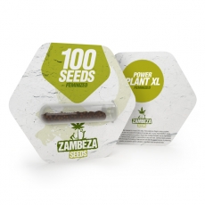 Power Plant XL Bulk Seeds