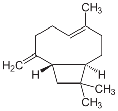 Caryophyllen