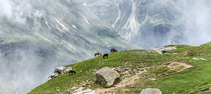 Manali Valey, Indien