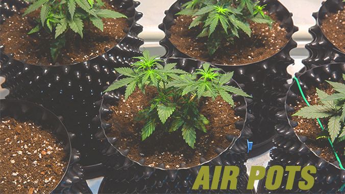 Air Pots