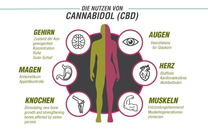 Die Nutzen von CBD