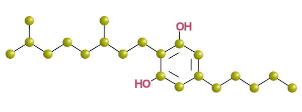 Cannabigerol