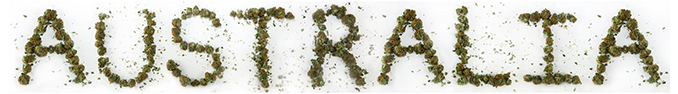 Australien Hat Den Anbau Von Medizinischem Cannabis Legalisiert
