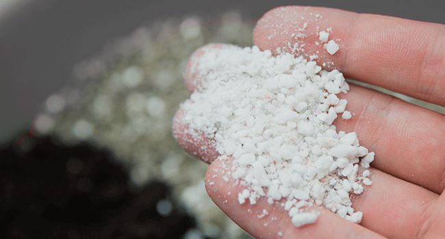 Perlite