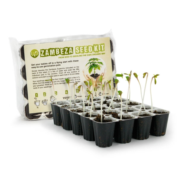 Zambeza Seedkit Beste Cannabis Samen Keimung Kit